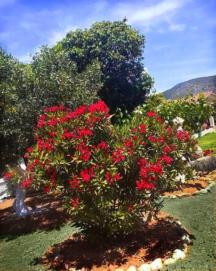 Villa Aelia - A Peaceful And Private Place Argostoli  Luaran gambar