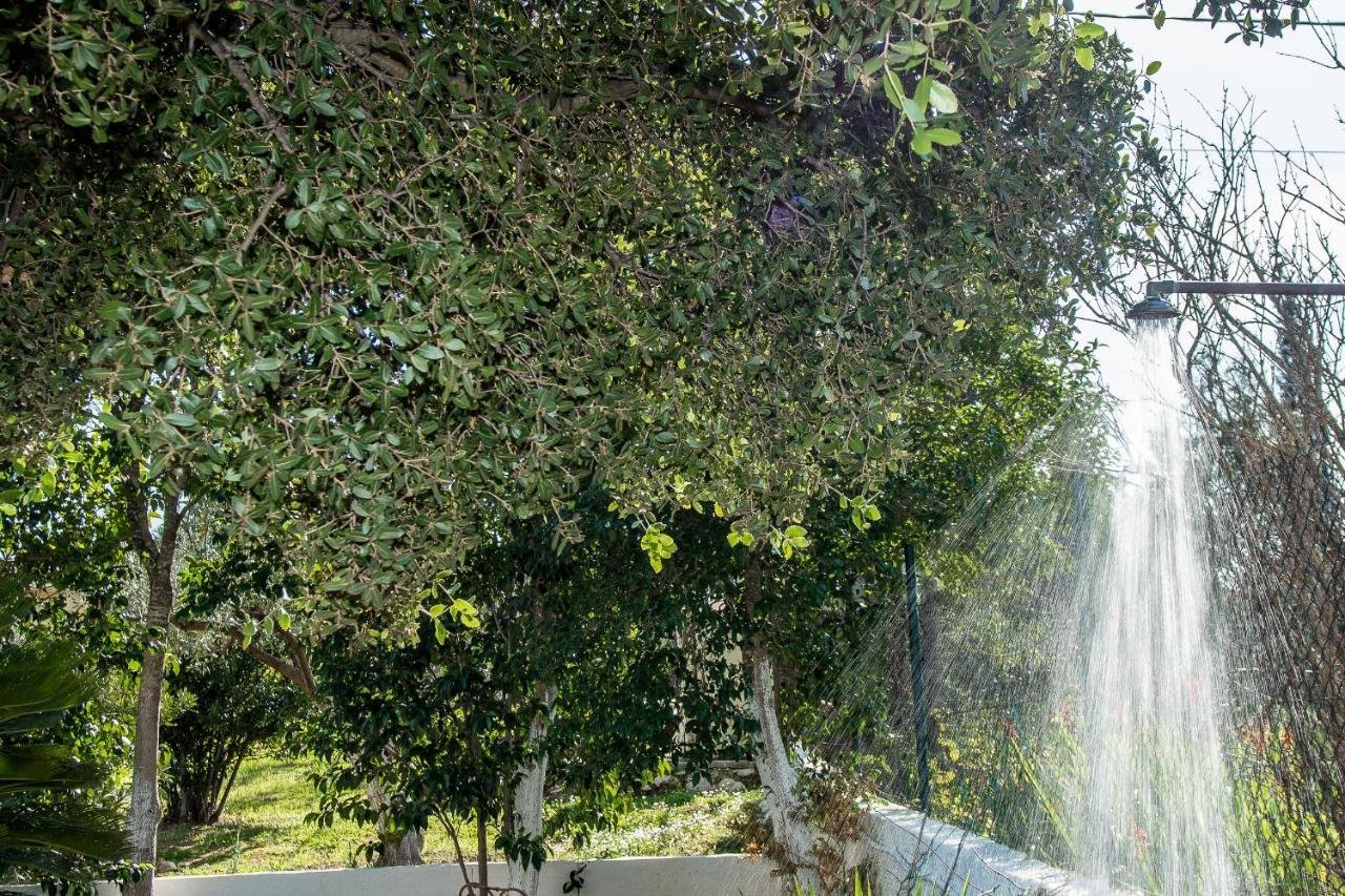 Villa Aelia - A Peaceful And Private Place Argostoli  Luaran gambar
